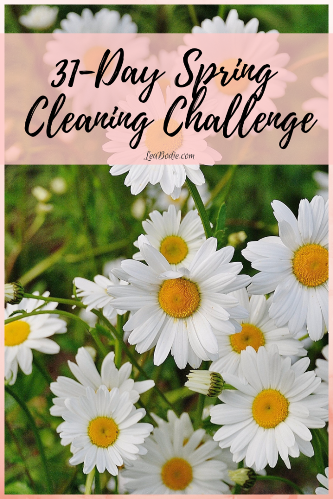 31-Day Spring Cleaning Challenge