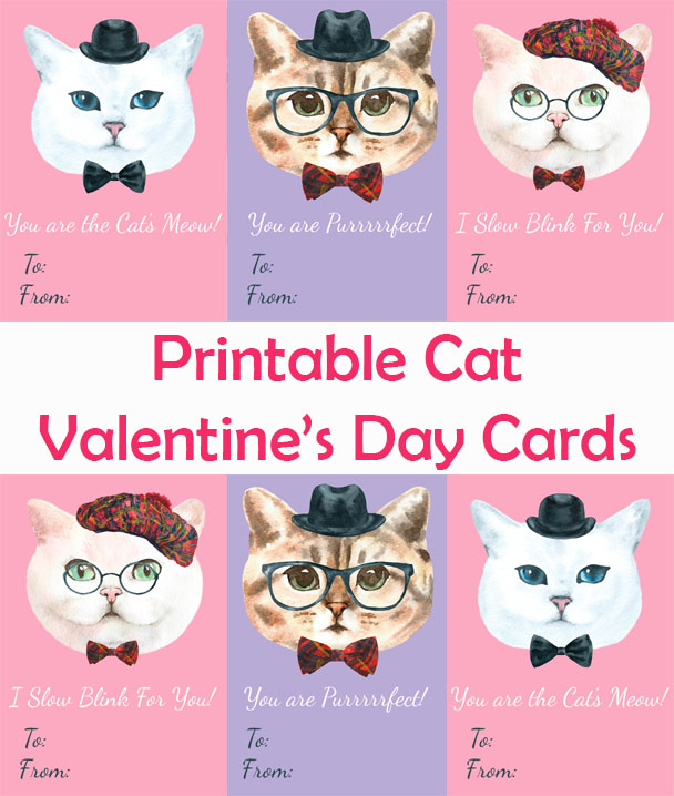 Cards by My 3 Kittens' Cat Valentines Day