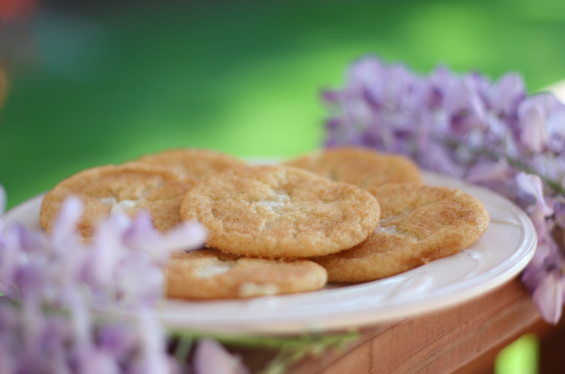 I Can Teach My Child Resurrection Cookies