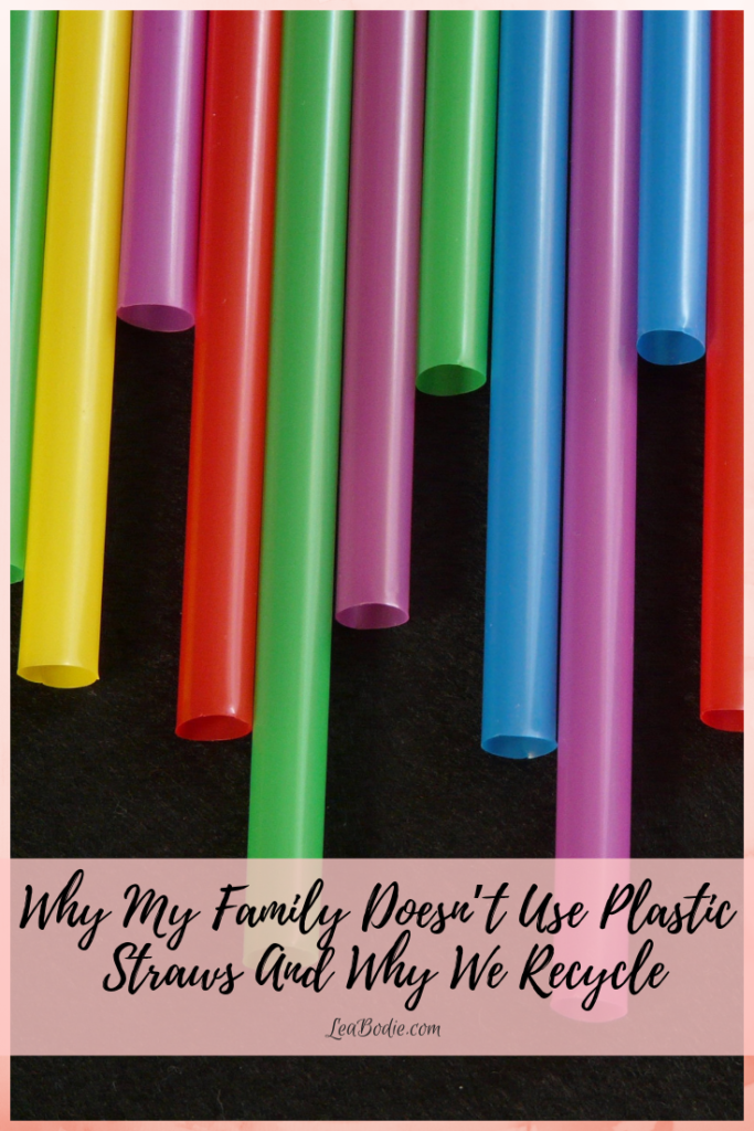 Why My Family Doesn’t Use Plastic Straws And Why We Recycle