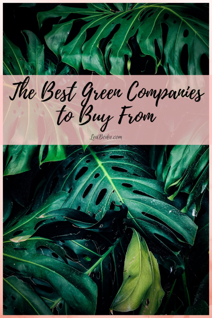 The Best Green Companies to Buy From