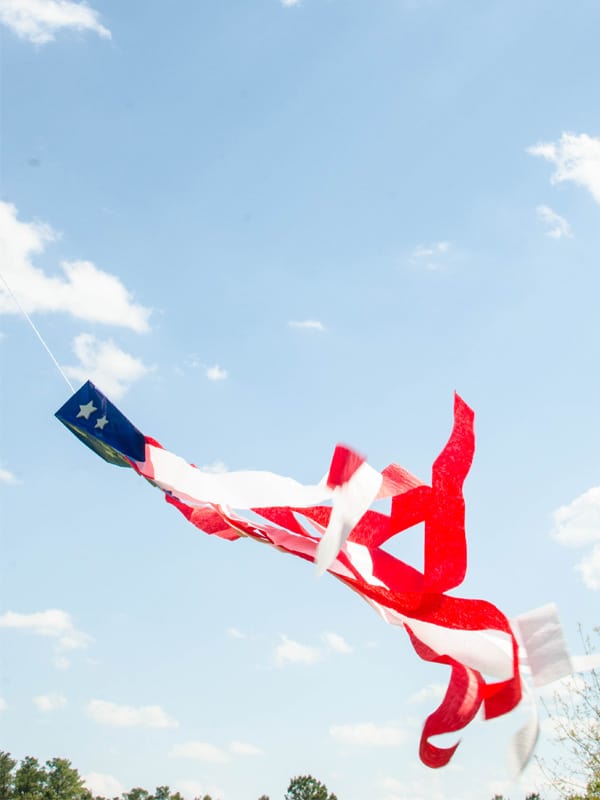 Flag Kite